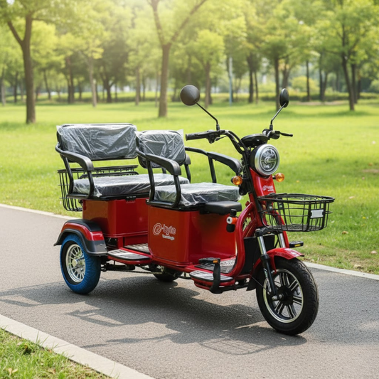 TRICICLO ELÉCTRICO PARA PERSONAS