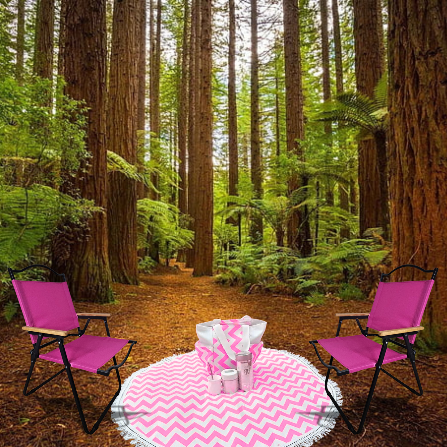 Silla Plegable De Camping